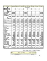 Biznesa plāns 'SIA "Play"', 24.