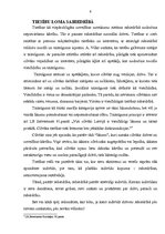 Referāts 'Tiesību teorija', 6.