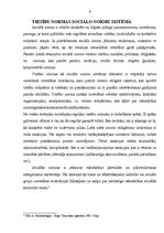 Referāts 'Tiesību teorija', 8.