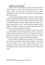 Referāts 'Tiesību teorija', 11.