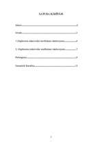 Referāts 'Uzņēmuma mikrovides raksturojums', 2.