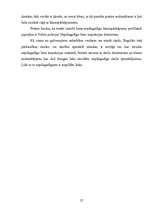 Referāts 'Policijas iecirkņa inspektora preventīvie pasākumi ar nepilngadīgajiem likumpārk', 27.