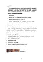 Referāts 'Zinātniski pētnieciskais darbs par narkotikām', 16.