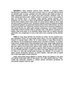 Konspekts 'Senā Japāna', 7.