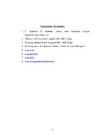 Referāts 'Likumdošanas vara un izpildvara Baltijas valstīs. Kopīgais un atšķirīgais. Polit', 13.