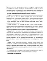 Konspekts 'Globalizācija. Globālā stratifikācija. Iedzīvotāji. Vide', 4.