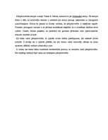 Konspekts 'Globalizācija. Globālā stratifikācija. Iedzīvotāji. Vide', 5.