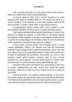 Referāts 'Hansa Austrumeiropas Akciju fonds', 12.