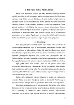 Referāts 'Baltijas jūras problēmas', 5.