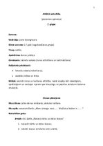 Konspekts 'Atklātas nodarbības konspekts 6-7 gadus veciem bērniem', 1.