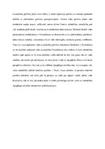 Eseja 'Vides problēmas Latvijā', 8.