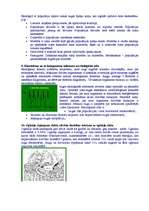 Konspekts 'Ekosistēma', 3.