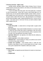 Referāts 'Motivācijas sistēma SIA "Klota"', 12.