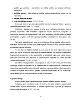 Referāts 'Motivācijas sistēma SIA "Klota"', 13.