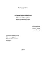 Referāts 'Jēkabpils ekonomiskā attīstība', 1.