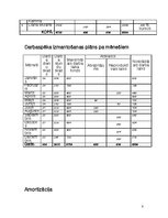 Biznesa plāns 'Ziedu salons "Pizzazz"', 8.