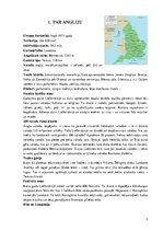 Konspekts 'Angļu tautas tradicionālās paražas', 3.