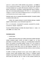 Referāts 'Kurzemniekiem raksturīgā leksika Kārļa Janševska romānā "Hercogs un Kursas meite', 12.