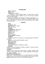 Referāts 'Latvijā sastopamās pūces', 16.