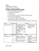 Konspekts 'Mārketinga plāns taksometru kompānijai', 1.