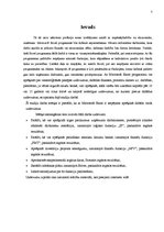 Prezentācija 'Studiju darbs datormācībā', 5.