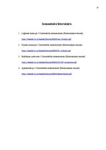 Prezentācija 'Studiju darbs datormācībā', 22.