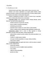 Referāts 'Personālvadības pamatjautājumi uzņēmumā', 18.