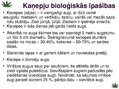 Prezentācija 'Kaņepju bioloģiskās īpašības. Agrotehnika, slimības, kaitēkļi un šķirnes', 2.