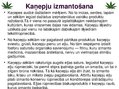 Prezentācija 'Kaņepju bioloģiskās īpašības. Agrotehnika, slimības, kaitēkļi un šķirnes', 6.