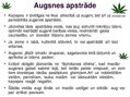 Prezentācija 'Kaņepju bioloģiskās īpašības. Agrotehnika, slimības, kaitēkļi un šķirnes', 11.
