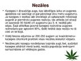 Prezentācija 'Kaņepju bioloģiskās īpašības. Agrotehnika, slimības, kaitēkļi un šķirnes', 20.