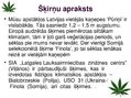 Prezentācija 'Kaņepju bioloģiskās īpašības. Agrotehnika, slimības, kaitēkļi un šķirnes', 22.