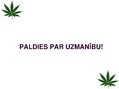 Prezentācija 'Kaņepju bioloģiskās īpašības. Agrotehnika, slimības, kaitēkļi un šķirnes', 24.