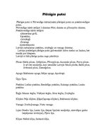 Referāts 'Plēsīgie putni', 2.