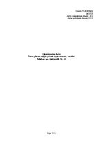 Paraugs 'Ūdens plūsma vaļējās gultnēs (upēs, strautos, kanālos). Pededzes upe, šķērsprofi', 1.