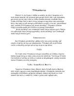 Konspekts 'Džainisms - reliģija Indijā', 10.