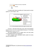 Diplomdarbs 'Privātpersonu noguldījumu veidošanas iespējas Latvijā', 57.