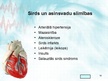 Prezentācija 'Sirds un asinsvadu sistēma. Asinsrite', 18.