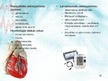 Prezentācija 'Sirds un asinsvadu sistēma. Asinsrite', 20.