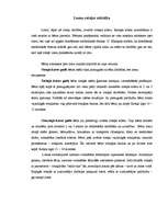 Konspekts 'Radošo rotaļu modeļi', 2.