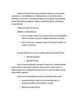 Konspekts 'Aktīvi un pasīvi', 1.