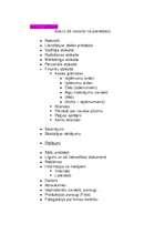 Konspekts 'Skolēnu mācību firmas (SMF) likvidācijas atskaites ieteikumi', 2.