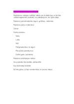 Konspekts 'Skolēnu mācību firmas (SMF) likvidācijas atskaites ieteikumi', 5.