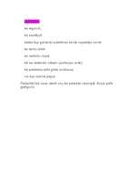 Konspekts 'Skolēnu mācību firmas (SMF) likvidācijas atskaites ieteikumi', 10.