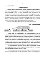 Prakses atskaite 'Prakse komercdarbības organizācijā', 13.