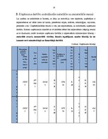 Prakses atskaite 'Prakse komercdarbības organizācijā', 19.