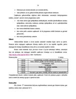 Prakses atskaite 'Prakse komercdarbības organizācijā', 28.