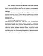 Prakses atskaite 'Prakse komercdarbības organizācijā', 29.