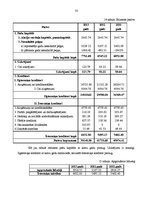 Prakses atskaite 'Prakse komercdarbības organizācijā', 33.
