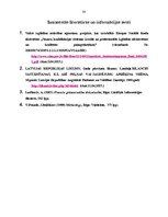 Prakses atskaite 'Prakse komercdarbības organizācijā', 38.